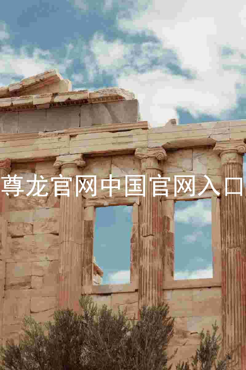 尊龙官网中国官网入口