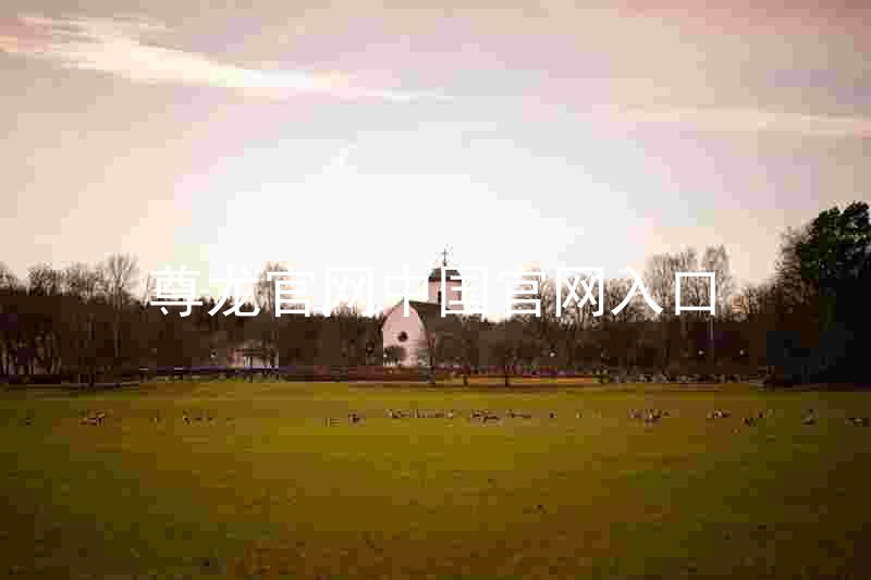 尊龙官网中国官网入口