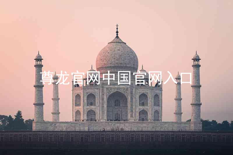 尊龙官网中国官网入口