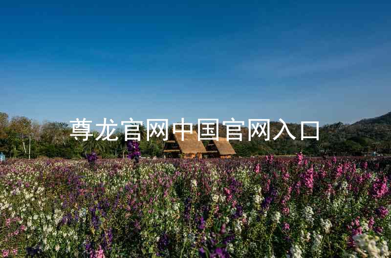 尊龙官网中国官网入口